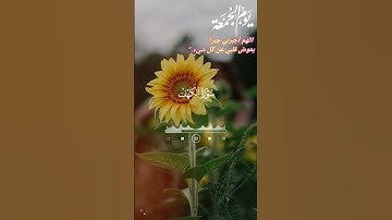 قراءة سورة الكهف يوم الجمعه