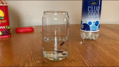 Science from Home: Dancing Raisins