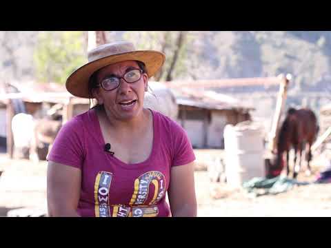 DOCUMENTAL CAJÓN DEL MAIPO  Soy nacido y criado en el Cajón del Maipo