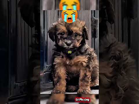 😱 Cái Hố Kỳ Lạ Giữa Biển Khiến Cả Thế Giới Sợ Hãi – Bên Dưới Có Gì? #shorts