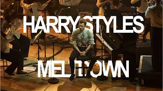 spontaneous harry styles meltdown vlog