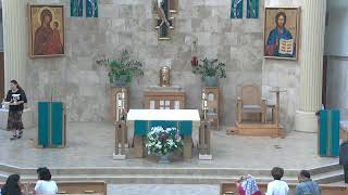 Daily Mass July 14, 2026
