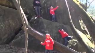 Ohio State Harlem Shake H&L Edition