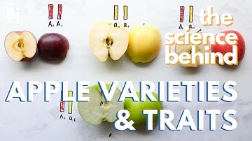 THE SCIENCE BEHIND APPLES: Traits, Genomes, & What Scientists Can Predict