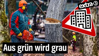 Realer Irrsinn: Baumrodung für klimaneutralen Campus in Stuttgart | extra 3 | NDR