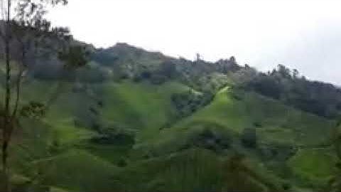 سورة الإخلاص مكررة 1000 مرة