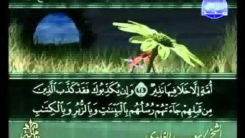 سعد الغامدي   سورة فاطر Fatir