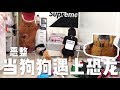恶整当毛小孩狗狗遇上恐龙吓得...！下次不敢了..看到最后！