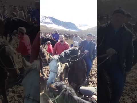 Бузкашии н Ховалинг
