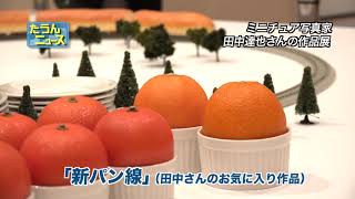 【4K】たうんニュース2019年3月「ミニチュア写真家 田中 達也さんの作品展」