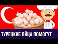 Как турецкие курочки спасут российский рынок яиц - Эконом FAQ/Москва FM