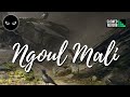 Fnaïre Ngoul Mali Slowed Reverb فناير نڭول مالي بطيء 