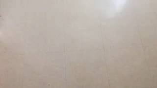 The Most Triggering Video Ever