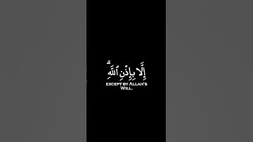 القارئ: رعد الكردي _ سورة التغابن ، الآية ١١_كرومات قران شاشه سوداء