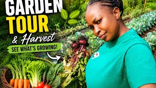 HOW IT ALL COMES TOGETHER | August Garden Tour & Harvest 