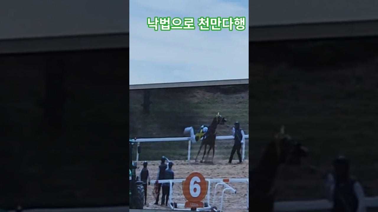 말이기수를 거부하네?#경마 #말#달려라말 #shorts