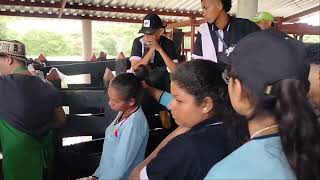 Aspiracion folicular para transferencia de embriones