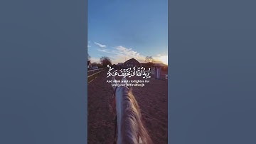 يريد الله أن يخفف عنكم وخلق الإنسان ضعيفا (28) سورة النساء