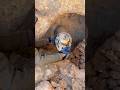 This golden helmet belongs to a civilization #treasurehunt #XHunter #treasurehunting