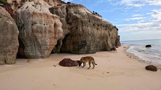 BEACH CAVES
