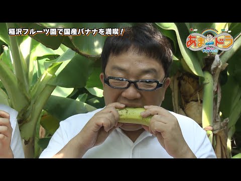 【皮ごと食べる】バナナのもぎとり体験ができちゃう♪稲沢フルーツ園（愛知県稲沢市）【あまドラ～天野っちのドライブしよう！！～】