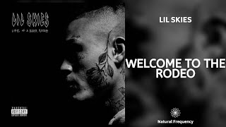 Lil Skies - Welcome To The Rodeo (432Hz)