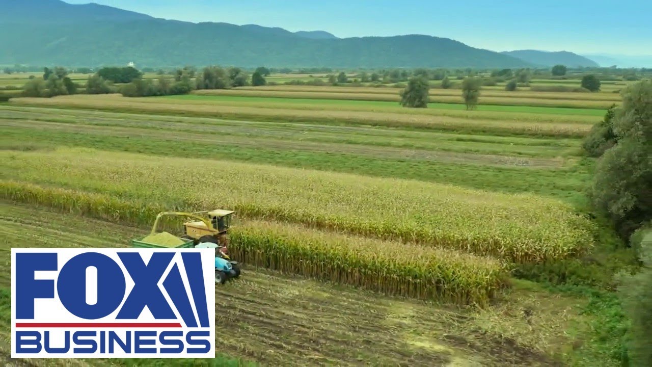 What’s the process behind America’s most-grown crop? ‘How America Works’ breaks it down