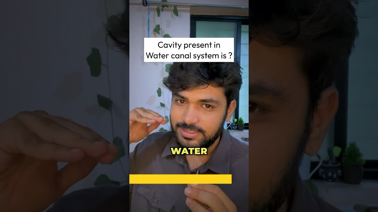 AIIMS Delhi Crack Krne ka Tarika🌚| Neet 2025 Biology Practice | Animal Kingdom in 60 Seconds