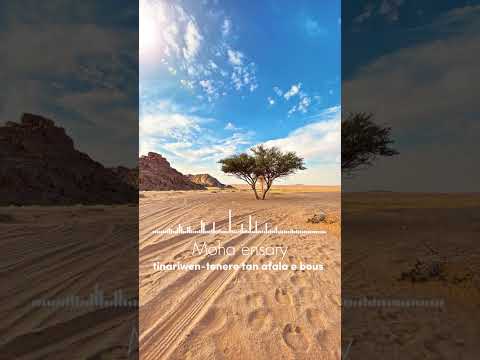 Tinariwen Tener Tam Afala Ebous