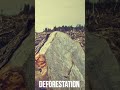 How much area is the forest spread in the whole world? | SS Knowledge TV