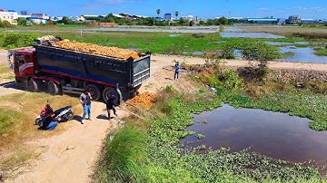 Initial phase Processing Landfill using Dump Truck 25.5Ton clear deep pond & Dozer D53 push soil