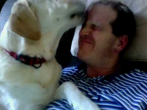 Dog Scream (yto 10/355)