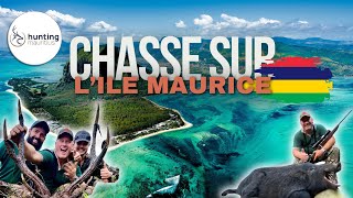 Chasse au Cerf Rusa et au Cochon Marron à l&#39;Ile Maurice avec HUNTING MAURITIUS