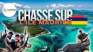 Chasse au Cerf Rusa et au Cochon Marron à l'Ile Maurice avec HUNTING MAURITIUS