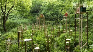 藝術很有事 第40集 【走入里山的大地藝術祭】專輯 藝術很有事 第40集 【走入里山的大地藝術祭】專輯
