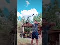 tiro con arco tradicional