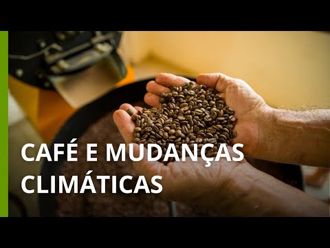 Mudanças climáticas influenciam demanda por cafés robusta e