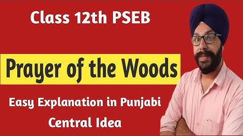 prayer of the woods class 12 in punjabi prayer of the woods class 12 central idea pseb english
