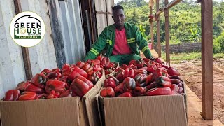 Join us harvesting today