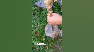 Split the stone to find fossils  #fossils  #rock  #hunting  #shorts