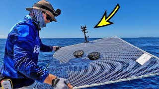 I strapped a fishing camera to my crab trap to capture amazing underwater footage!