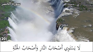 سورة الحشر (19-20) المعيقلي