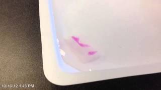 Phenolphthalein Diffusion