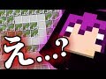 【マインクラフト】え、なにこれ二度見しちゃった【日常組】