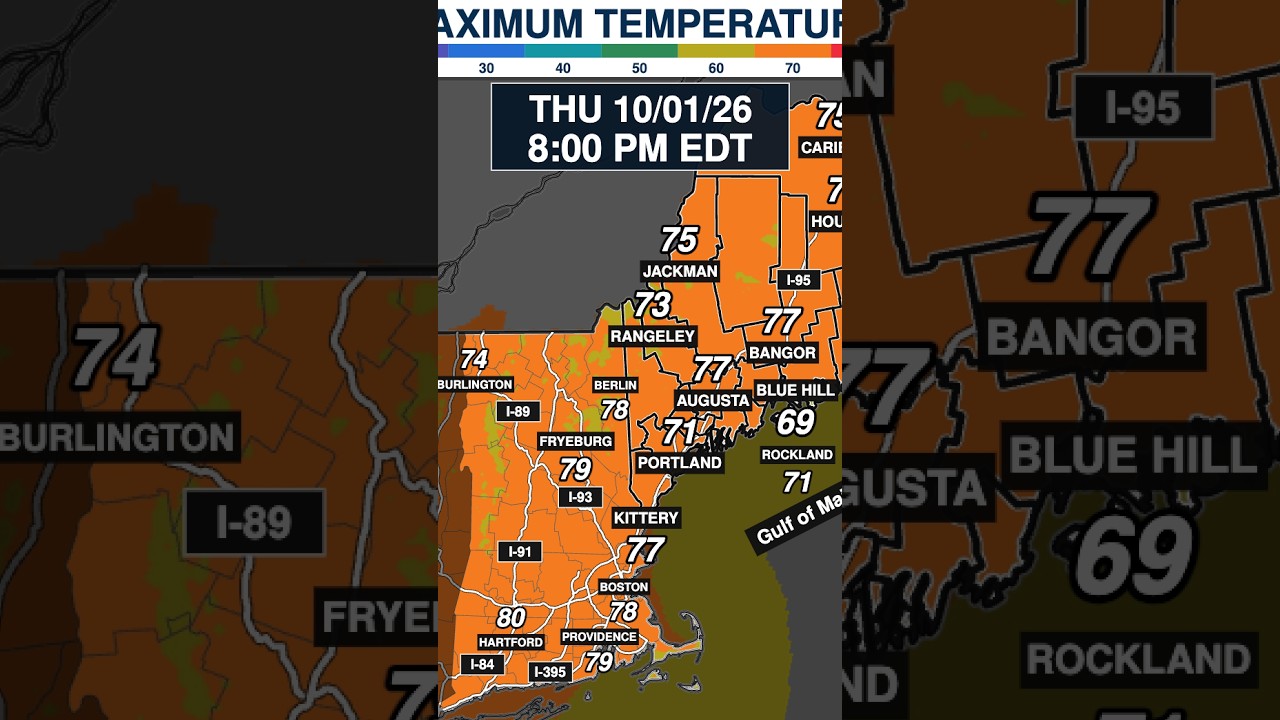 ☀️ MAINE’S LAST TASTE OF SUMMER BEFORE FROST SEASON? 🍂 | NappiCast