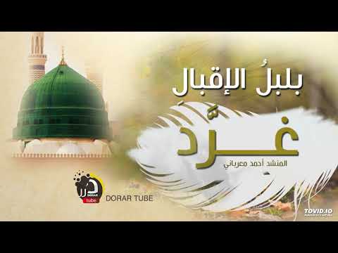 بلبل الإقبال غرد