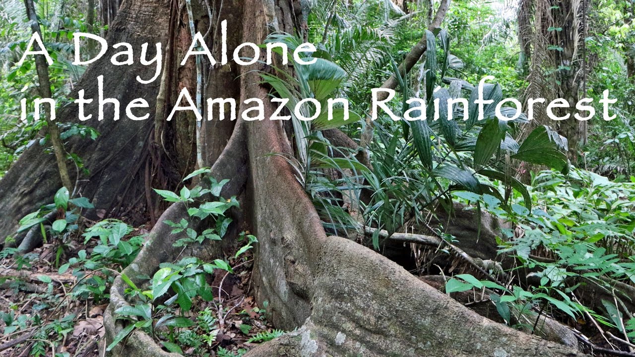 A Day Alone in the Amazon Rainforest - YouTube