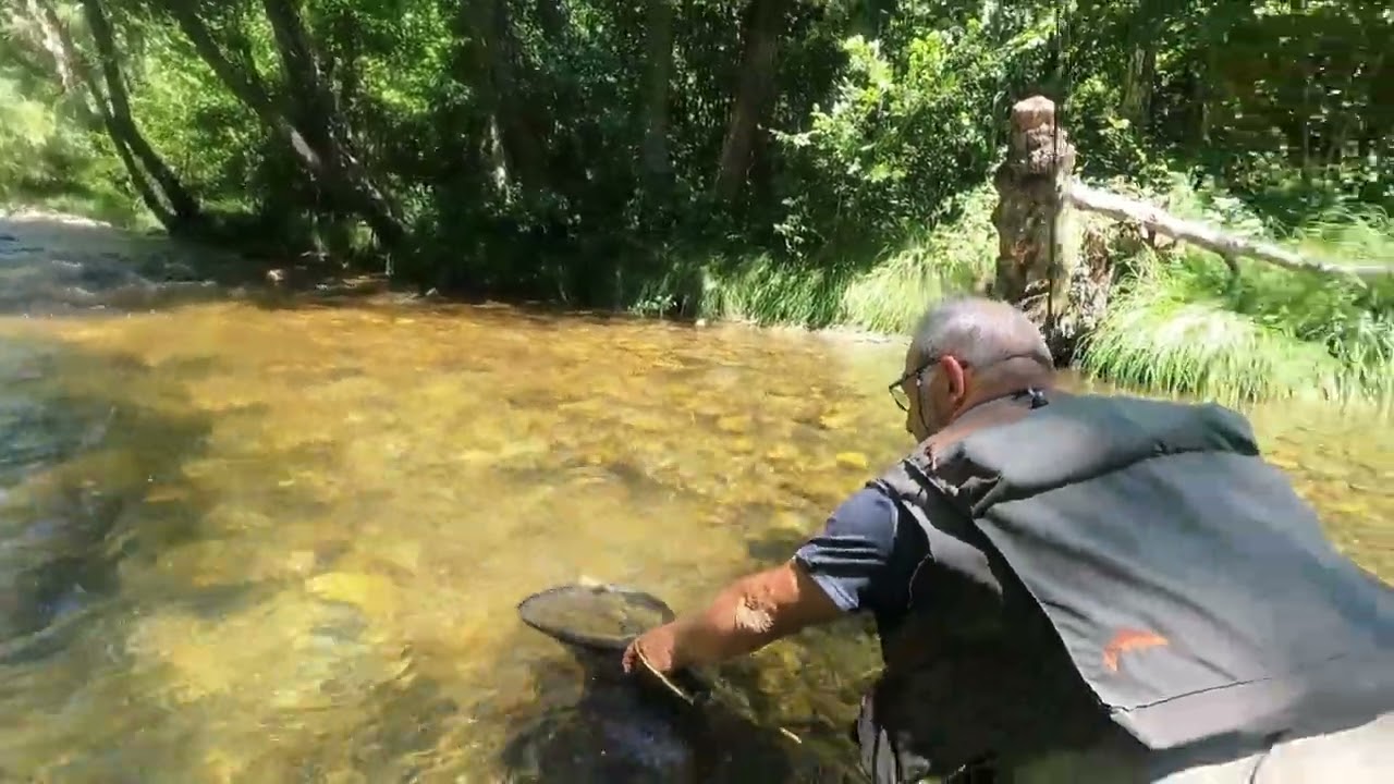 Pesca a Mosca Seca en el Bierzo