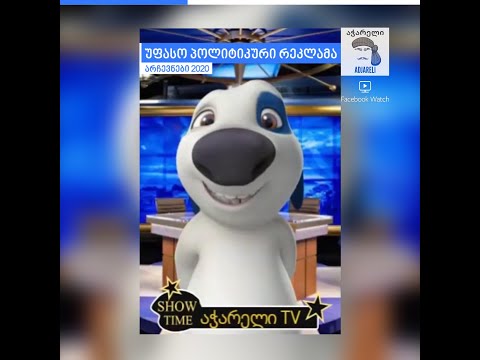 ჩემი პარტიის გამარჯვებამდე 24 საათი დარჩა - #არჩევნები2020