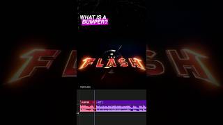 Trailer Lingo | Bumper